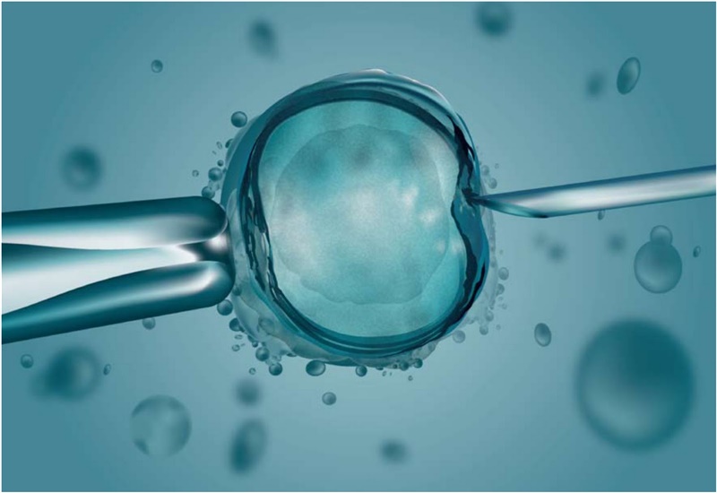 Aşılama Nedir? inseminasyon IUI Tüp Bebek Ünitesi